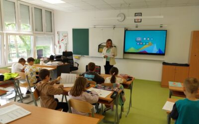 Projekt ” Mali matematički istraživači”